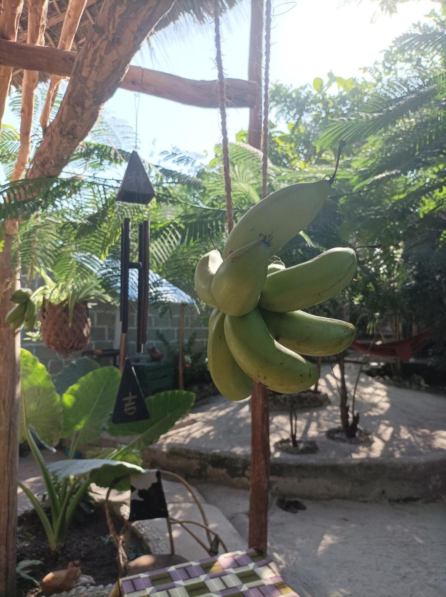 Mamarasta Bed & Breakfast Bwejuu Dış mekan fotoğraf
